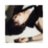 __________OZ__'s profile image