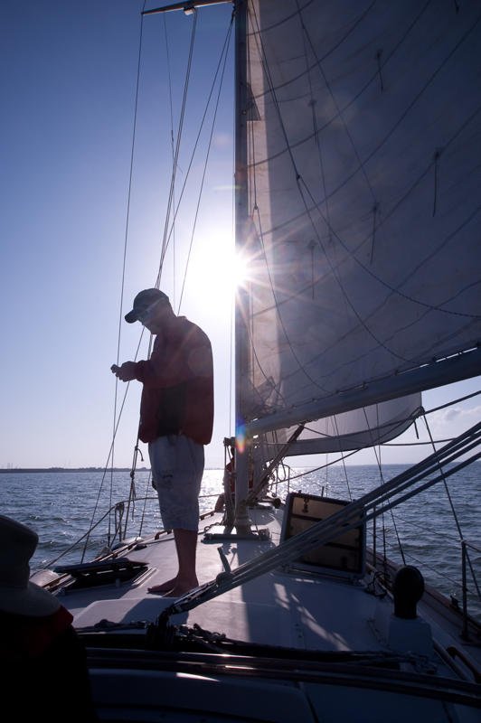 ScheyerMichael's profile picture. 