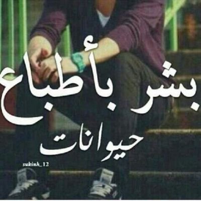 fghfh7441's profile picture. 