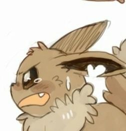 A little Eevee Cub, happy to meet others and be with his family. |Male|-|Single| He can sometimes be stubborn.