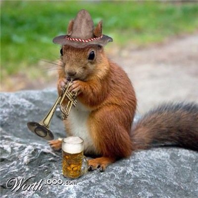 Trumpeter ~ Conductor ~ Brass Tutor