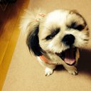 cherry (@0306Cherry) Twitter
