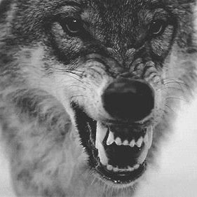 I'm Scar I am your nightmares I am your fear and I am also what might kill you be afraid