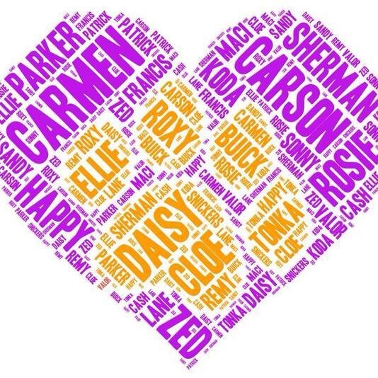 CAR120897's profile picture. #GIlbert23 #JusticeNow Animal Advocate, Rocker Chick