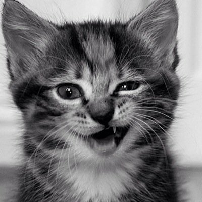 teenage_liifee's profile picture. I follow back Just another relatabke site