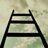 Paradise_wish's profile image