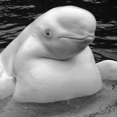 EHITSJUSTOKAY's profile picture. The struggle of being a teenager