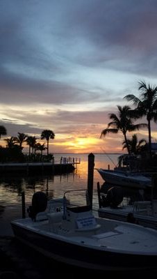 paw44774's profile picture. 