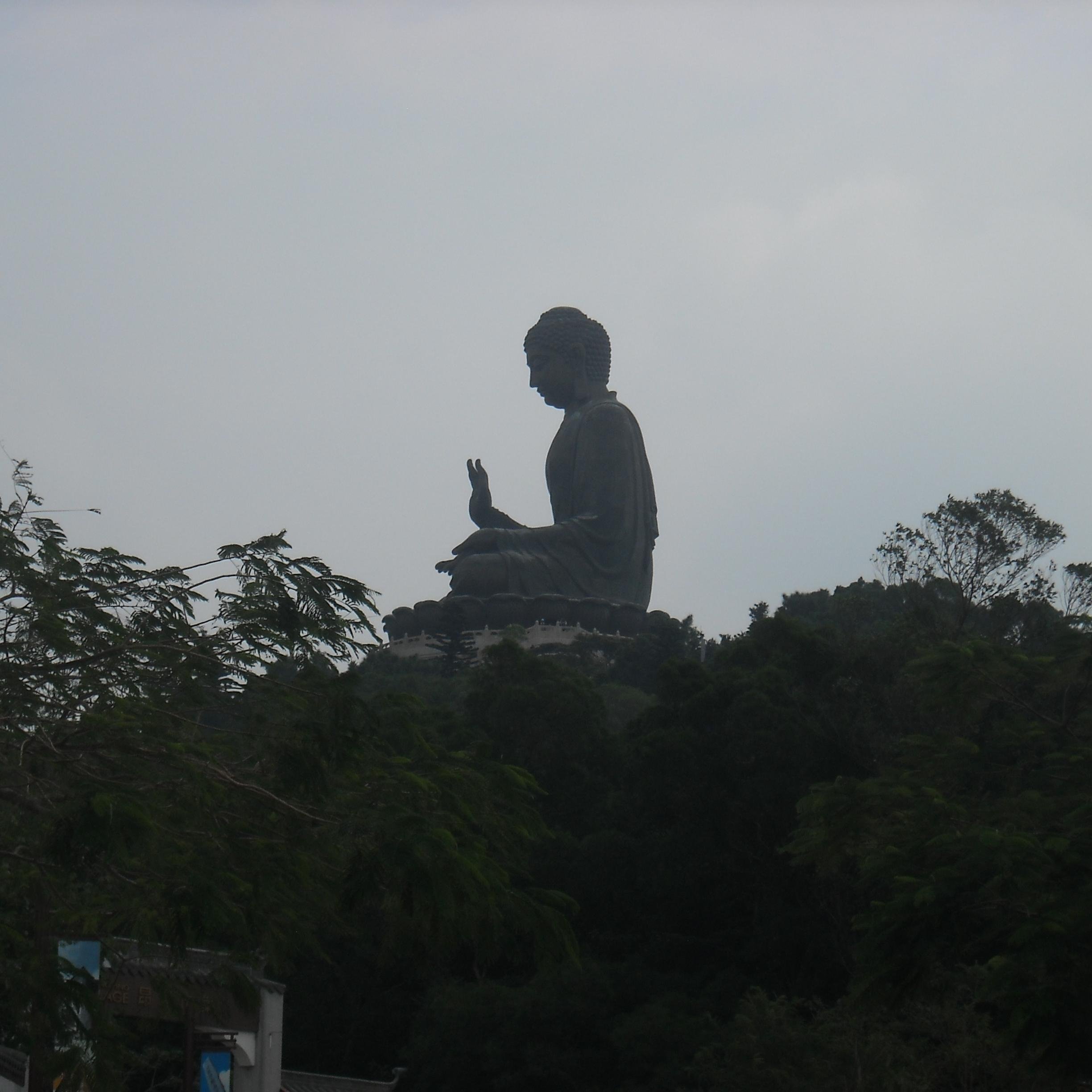 LawrenCottles's profile picture. creative writing, young adult apoc /sci fi, life coach, recovery coaching