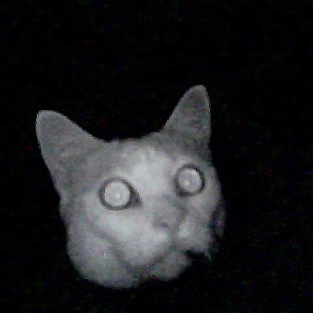 14thmouse's profile picture. What's your story? The chickens want to know.