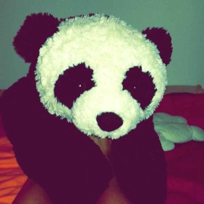 Errero_team's profile picture. Vie ta vie