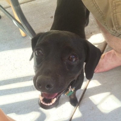 MadisonMike's profile picture. 