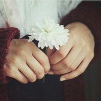 memto (@_klli) 's Twitter Profile
