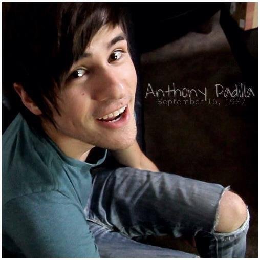 anthonysmoshboy's profile picture. i am a father of a cat named pip and love the ds  and really really good friends with  @iamianhecox and i love @kalelcat