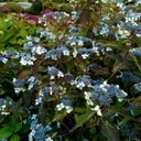 Lisa Shortt - @lisashortt46 - Twitter