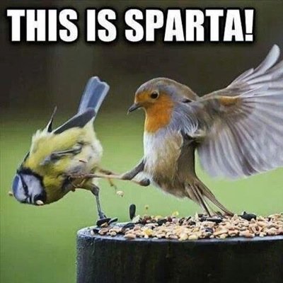 Supernova1215's profile picture. Are you not entertained?