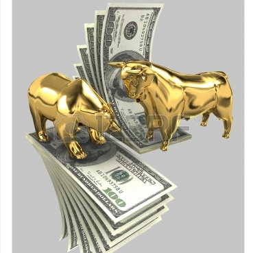 VbPtrader's profile picture. 