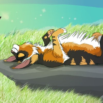 Shecat, single, was a kittypet. I venture the forest by myself. My heart is shield by many layers of dishonest and untrustworthy characteristics.