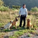 Alex Palomino (@alexpalomino78) Twitter