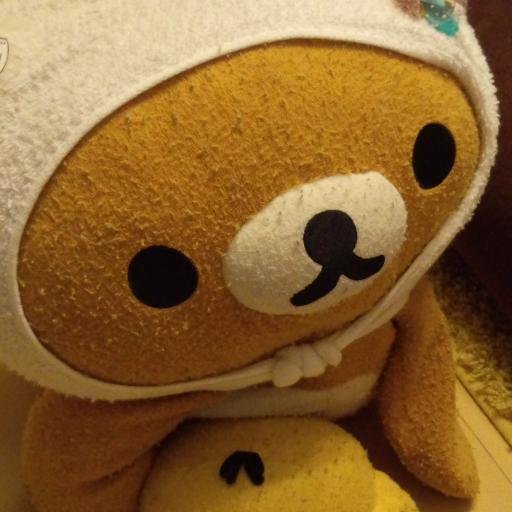 うにくまさんのプロフィール画像
