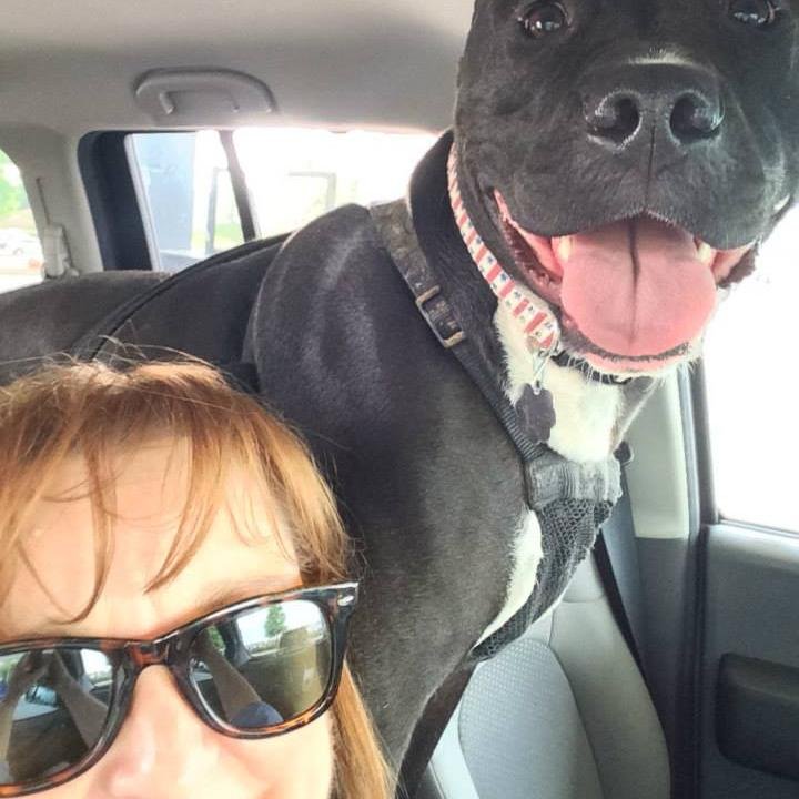 sterilli's profile picture. dweller of porch & parlor