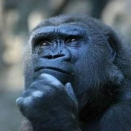 Consolidating the best explanations that help to explain the greatest confidence game on earth - MONEY