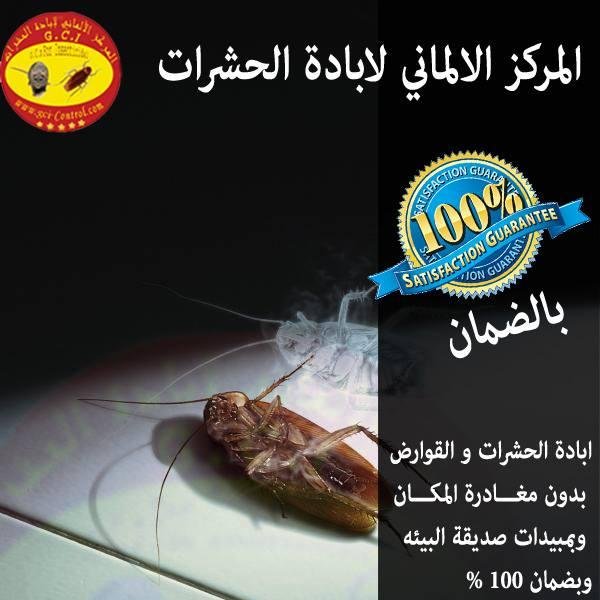 اباده الحشرات|اباده الحشرات|اباده الحشرات19758ابادة الحشرات|بدون أزالة الاوانى بدون مغادرة المنزل بالضمان بجميع المحافظات01003006734
 خدمه 24 ساعه- 20 جنيه