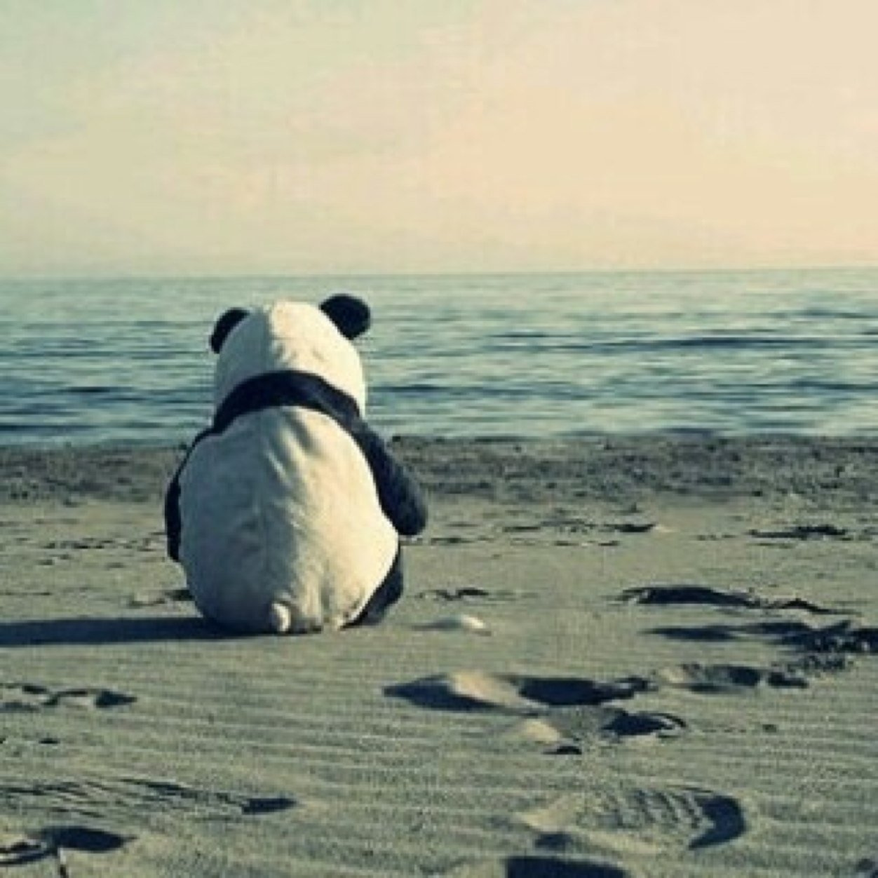 2Learnfast's profile picture. 