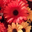 Les Bell - @girlsjustrockit - Twitter