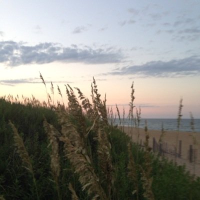 justabeachday's profile picture. Living life on the beach one day at a time.