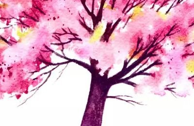 Abuse survivor fighting for custody of my daughters who are still enduring the same emotional abuse & manipulation that I was lucky enough to escape