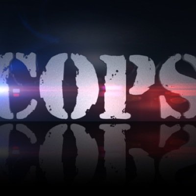 heart of the cops fandom