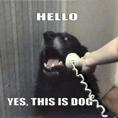 My name is get down, bad, no!  You may call me BATDOG