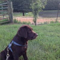 Andrew Evans (@hoot07) 's Twitter Profile