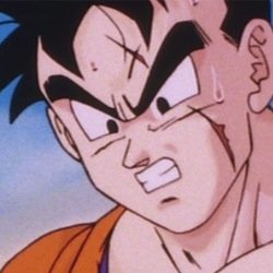 I am Son Gohan.The savior of my time and the last remaining Z-Fighter.My student is Trunks Briefs @TrunksDaMan.We will kill the androids! #DBZRP