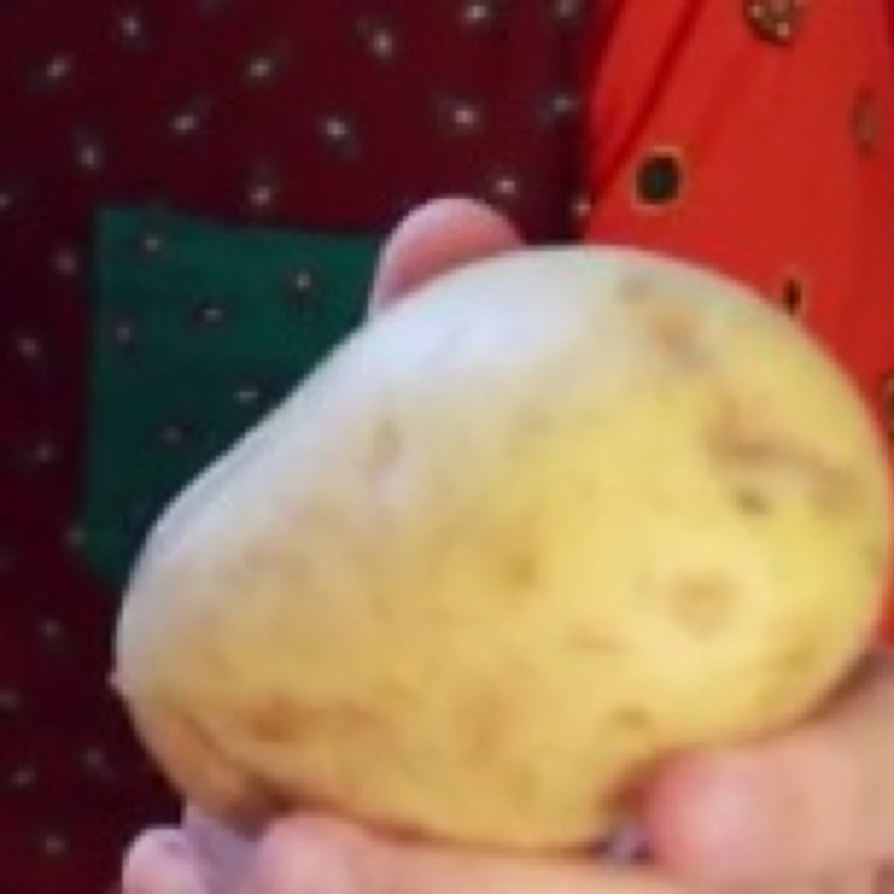 Maybe potato will be our always
