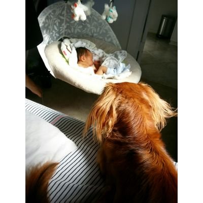 MasonNakama's profile picture. I am a baby. 私は赤ちゃんです。