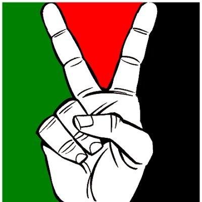 50+yo malaysian malay muslim male, anti zionist and believes u.s govt is the real terrorist