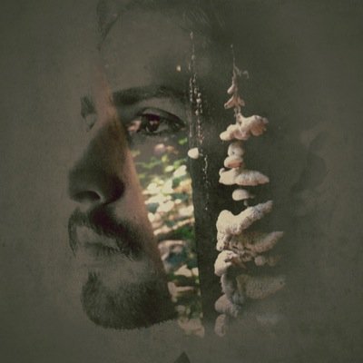 klaytoncedwards's profile picture. 