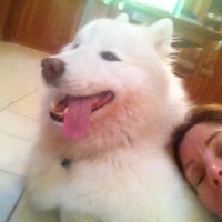 Rebecca Reed (@legalbeck) Twitter profile photo