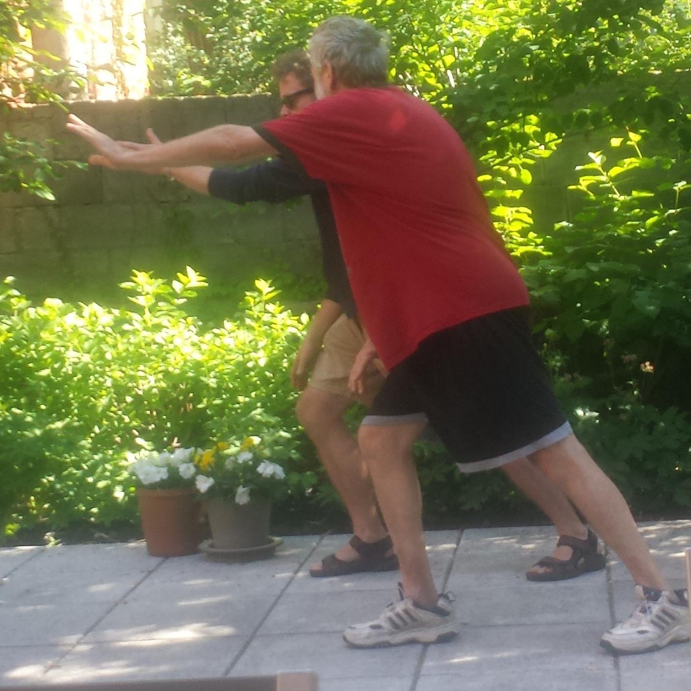 Doctor (medicine and TCM) Tai Chi enthusiast judeophile