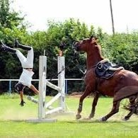if people were horse, i'd be a mare in heat.