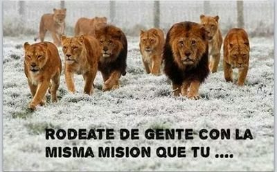 Viviendo cada segundo de la aventura, que es simplemente VIVIR