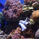 Marlene Cheatham - @JeweledMarlene - Twitter