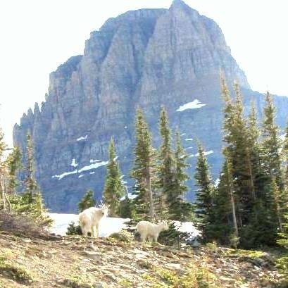 Inspiring meaningful sustainable travel in the Crown of the Crown | MT | AB | BC |...landscapes-wildlife-people