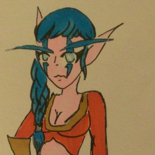 I'm Saenyll Weathermyst, a follower of the Goddess Elune and a healer of others. Though I'm loyal to the alliance, my loyalty is to the Goddess. #WoW #RP