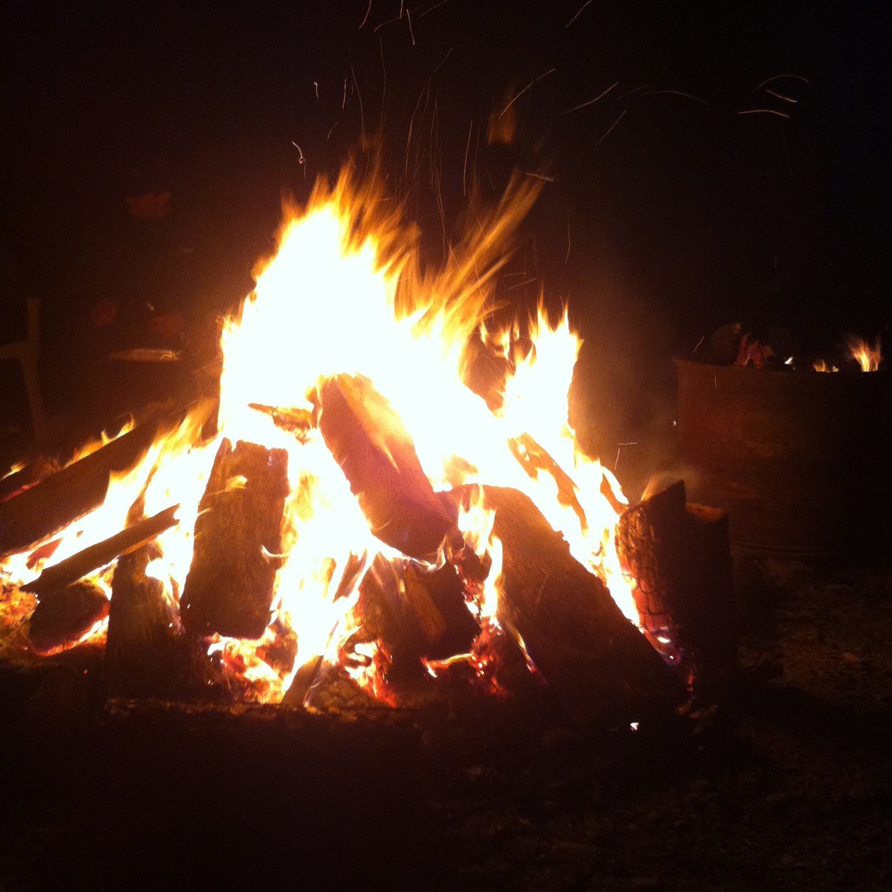 KylerWilks10's profile picture. Not an active account. folloe @kylerwilks8