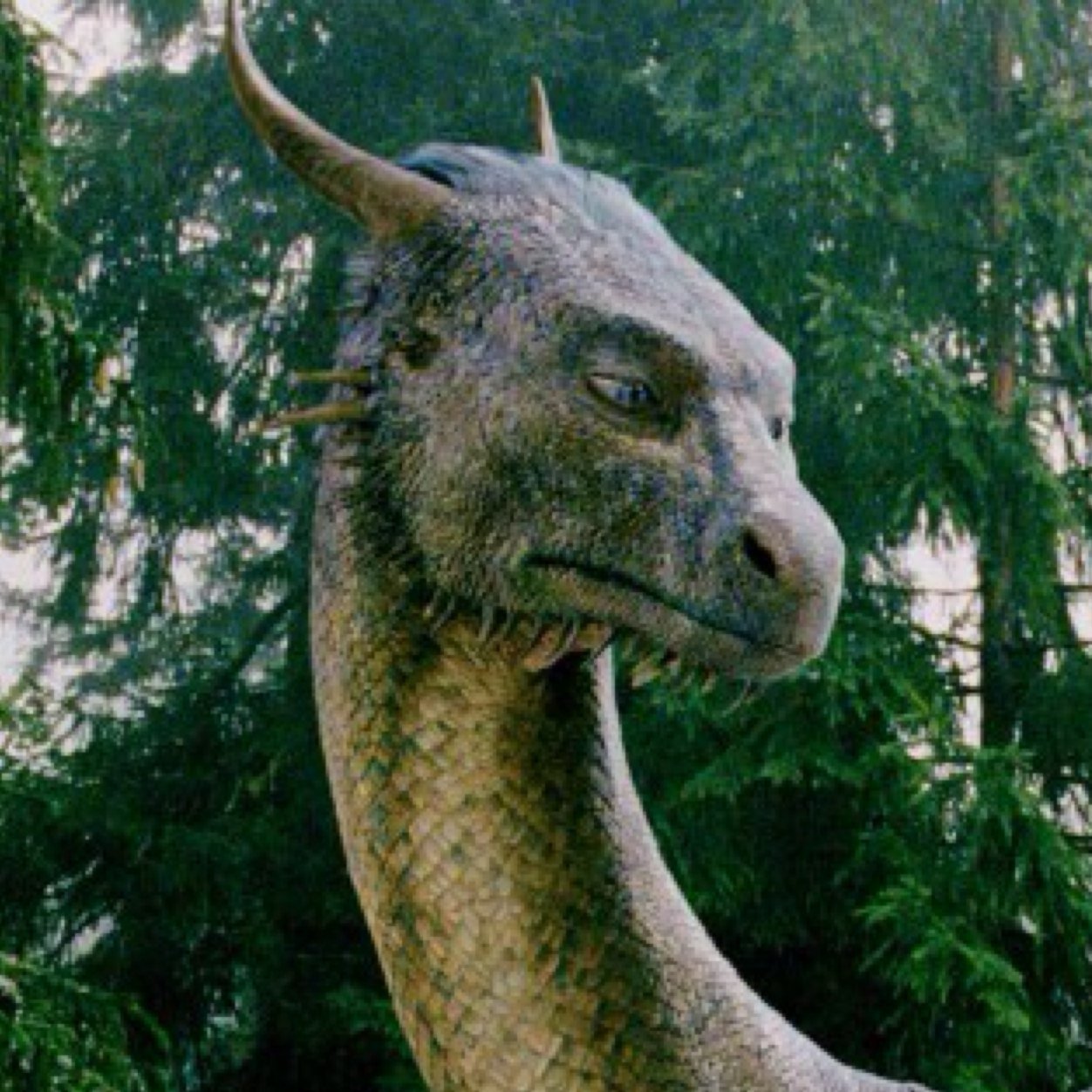 Ima dragon, the only female out there who can reproduce. Eragon's out there alive! If you dont beleve me then how am i alive!