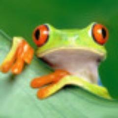 Apps by Richard Potts : 
Jumping Frog - Tap Water Lily Pads
Candy Quest Mix & Match
Candy Quest Adventure Mix & Match Free