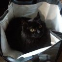 Gabrielle Carson - @Ironteapot - Twitter